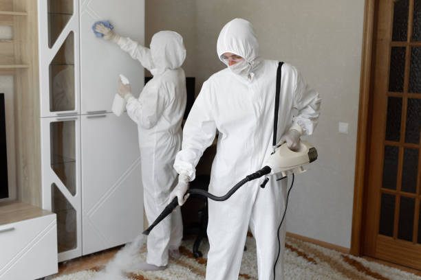 Affordable Sewage Cleanup solutions in Tabor, SD